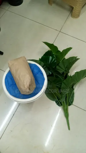 Vase,Stones and Plant Green