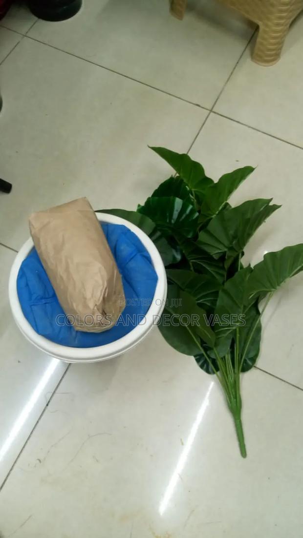 Vase,Stones and Plant Green