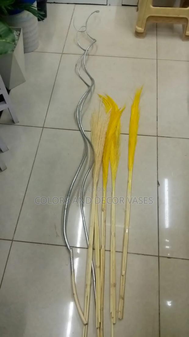 Pampas Grass 150shillings - main view