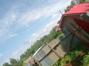 50 by 100 Plot on Sale at Maragua