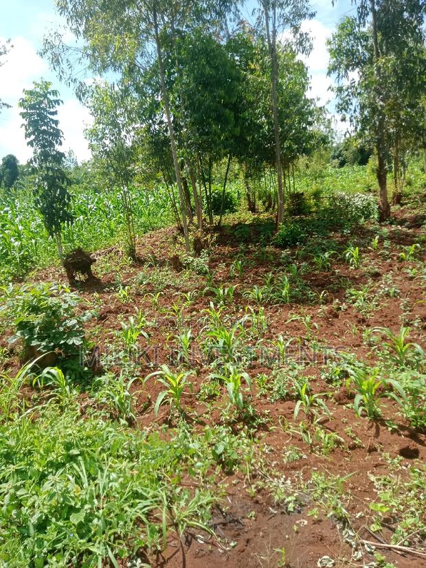 50 by 100 Plot on Sale at Maragua - thumbnail 5