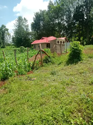 50 by 100 Plot on Sale at Maragua