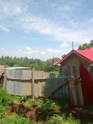50 by 100 Plot on Sale at Maragua