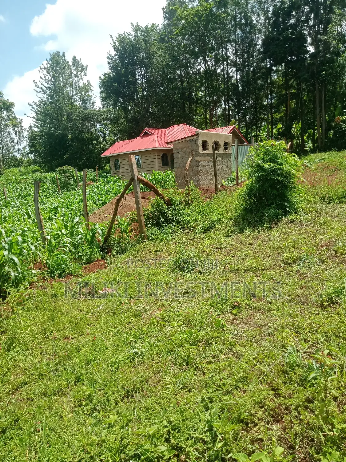 50 by 100 Plot on Sale at Maragua