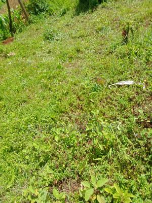 50 by 100 Plot on Sale at Maragua - thumbnail 2