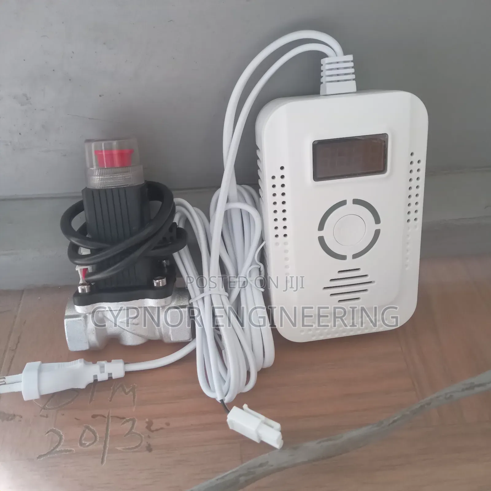 Tuya Smart Gas Leak Detector for Kitchens