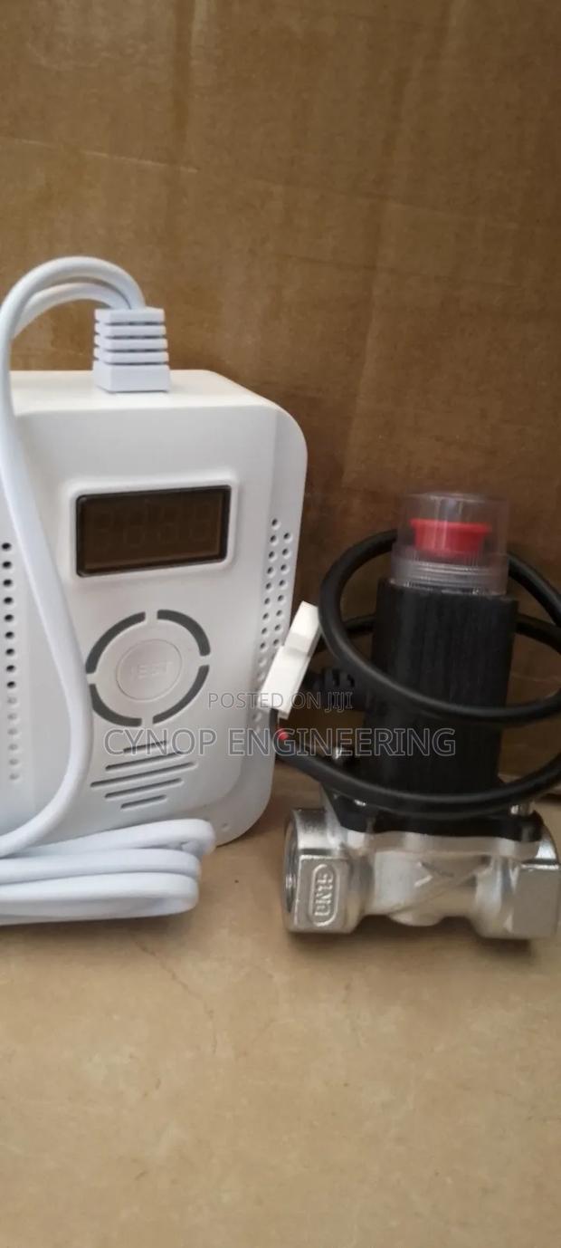 Kitchen Gas Leak Detector With Valve