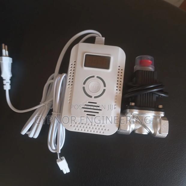 Smart Gas Leak Detector for Kitchen