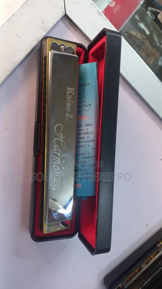 Kainez 24 Holes Harmonica - main view