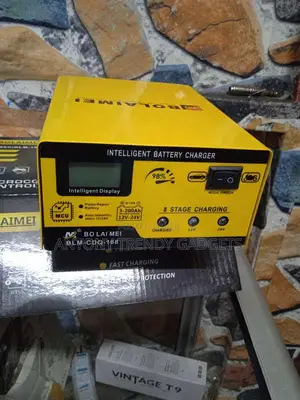 Bo Lai Mei 12/24v Battery Charger