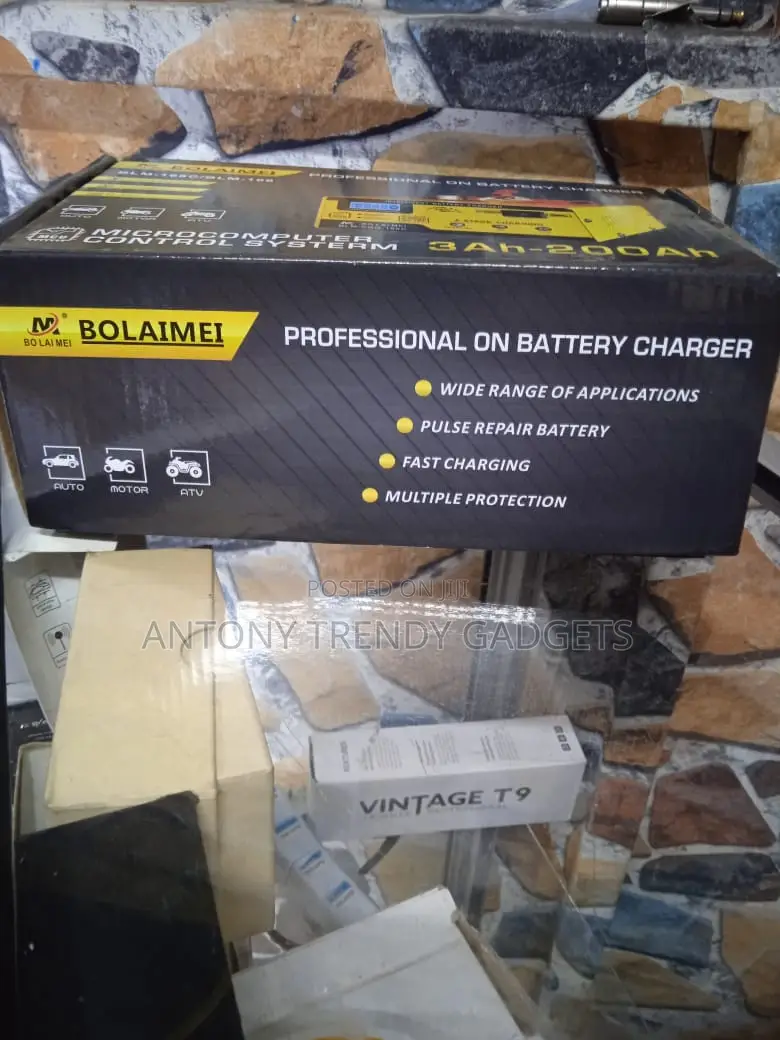 Bo Lai Mei 12/24v Battery Charger