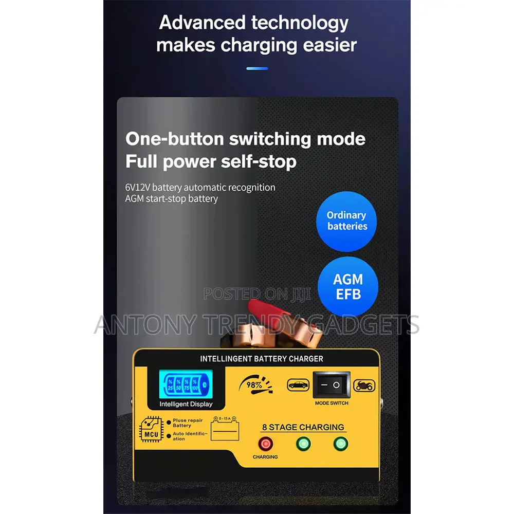 Battery Charger Form All Battery Types Bo Lai Mei 12/24v