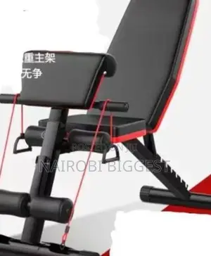 Best Commercial Workout Bench