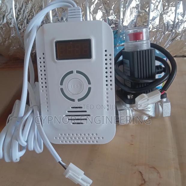 Airbnb Gas Leak Detection With Valve