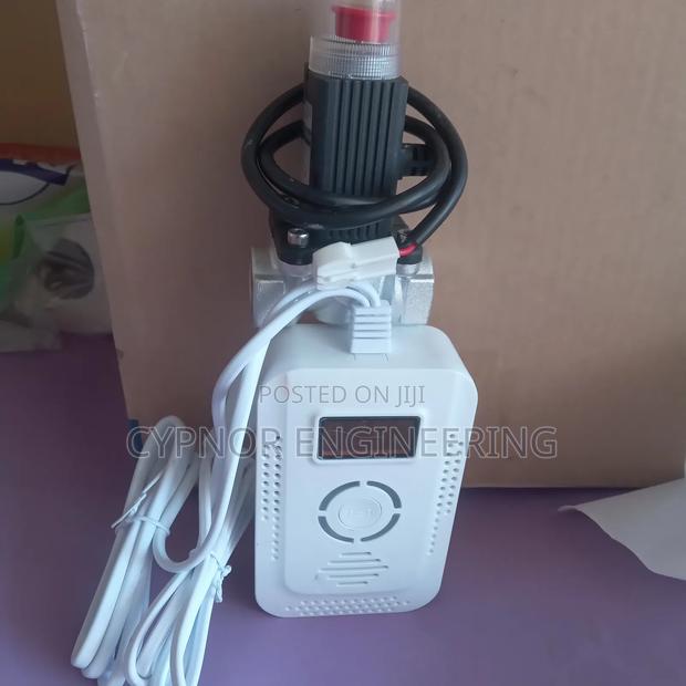 Factory Gas Leakage Detector With Alarm
