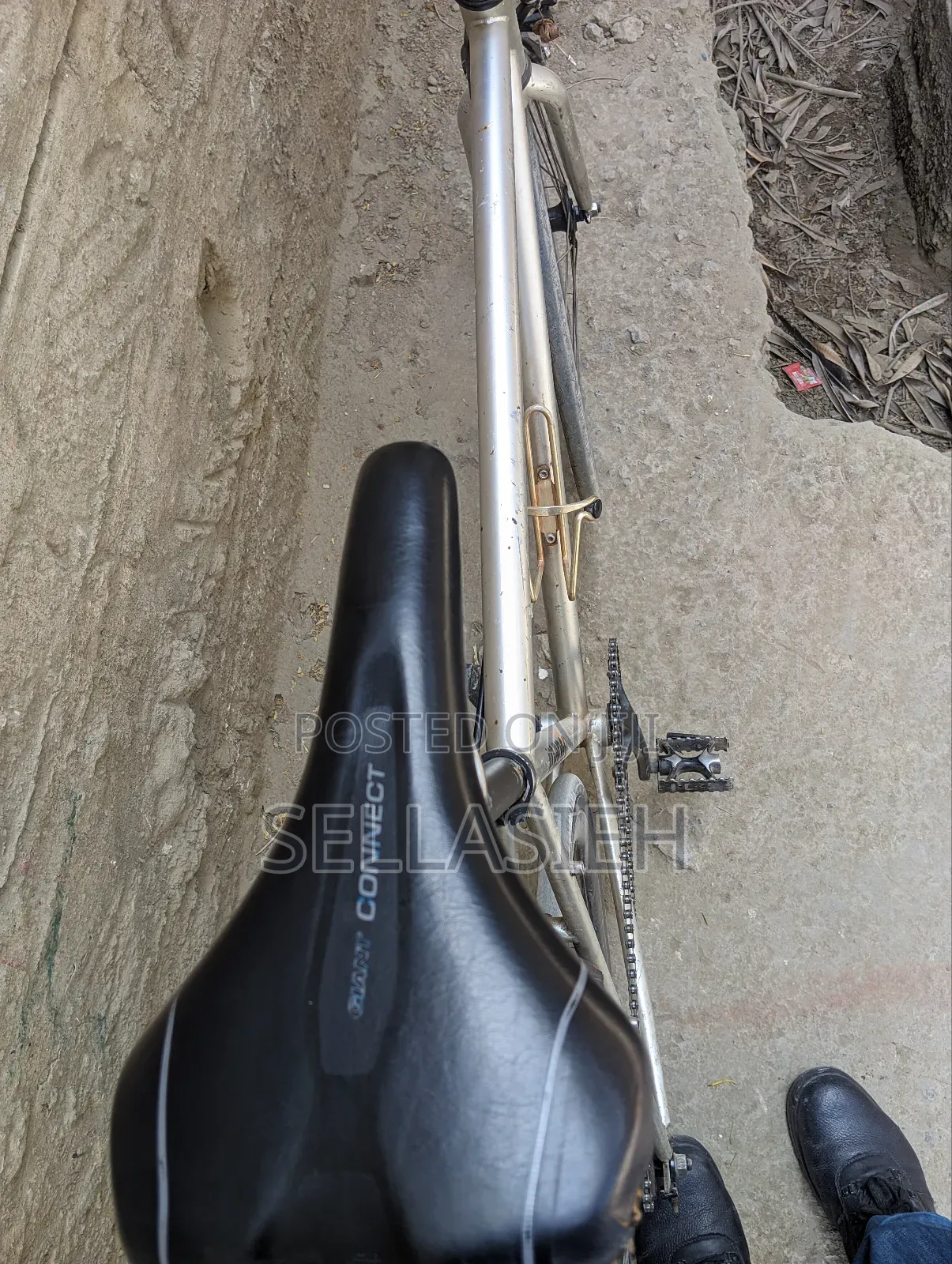Fixie Bike