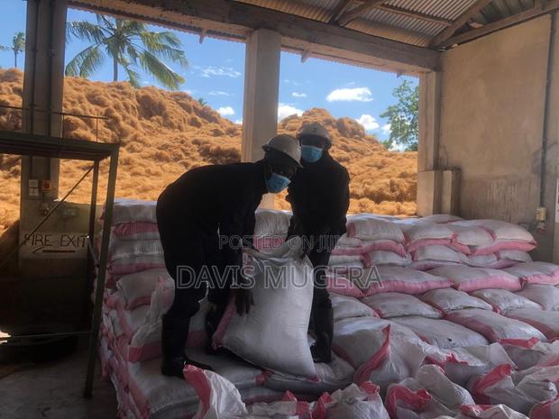 Cocopeat Coco Coir for Plant Growth Medium (10kg Bags) - main view