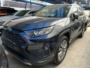 Toyota RAV4 2018 Gray