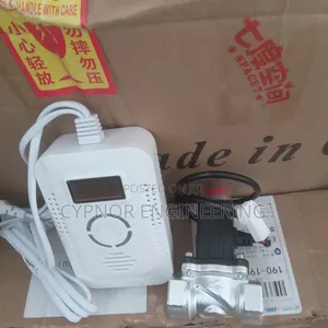 Airbnb LPG Leak Sensor With Valve
