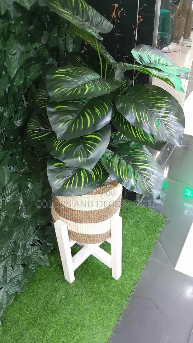 Stand/Plant/White Stones/Basket  - main view