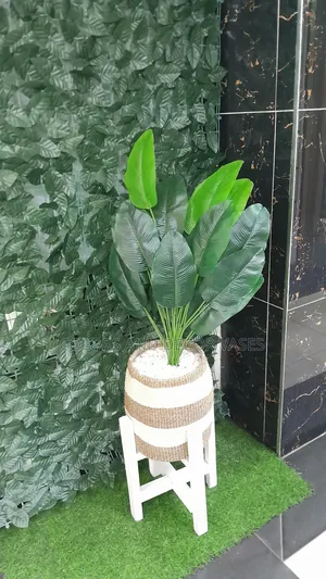 Banana,Basket, Plant and Pebble Stones 