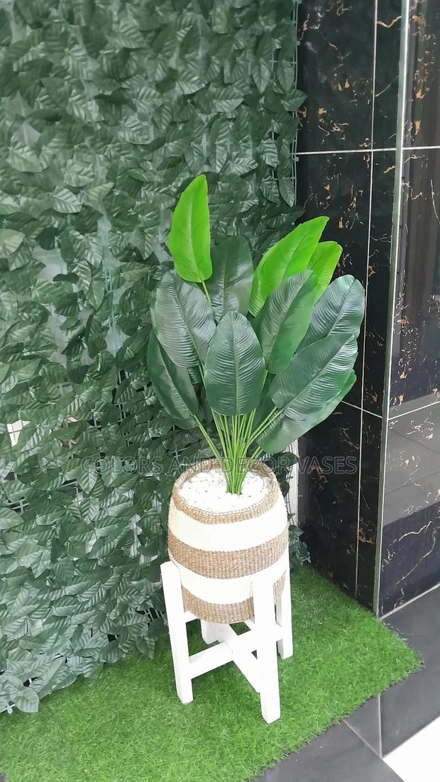Banana,Basket, Plant and Pebble Stones 