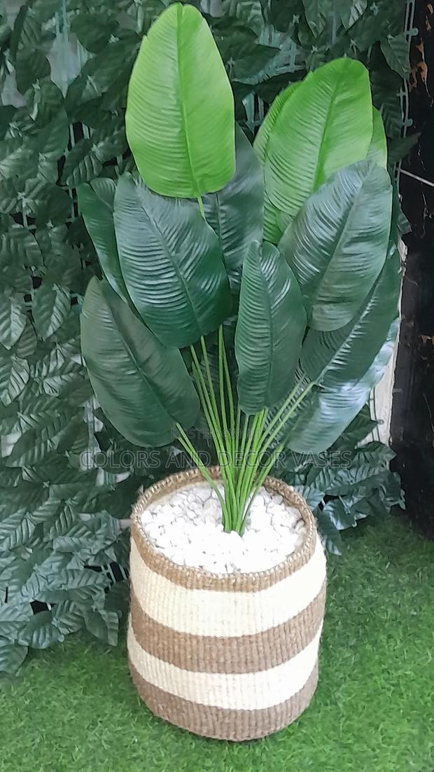 Banana, Basket With Decorative White Stones