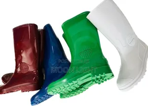 Gum Boots Coloured