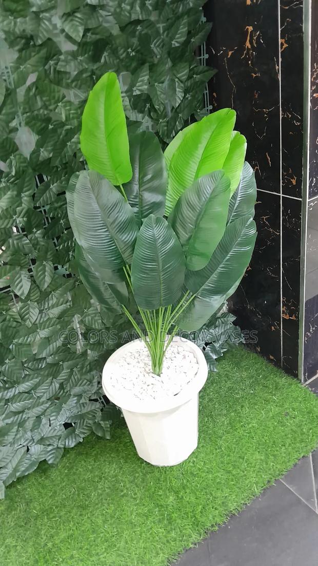 Banana/Vase/Pebble Stones KSH 1500 - main view