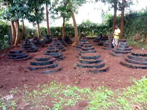 Multi Storey Gardens