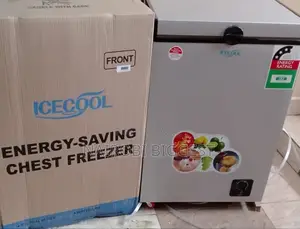 Icecool 109 Litres Energy Saving Freezer