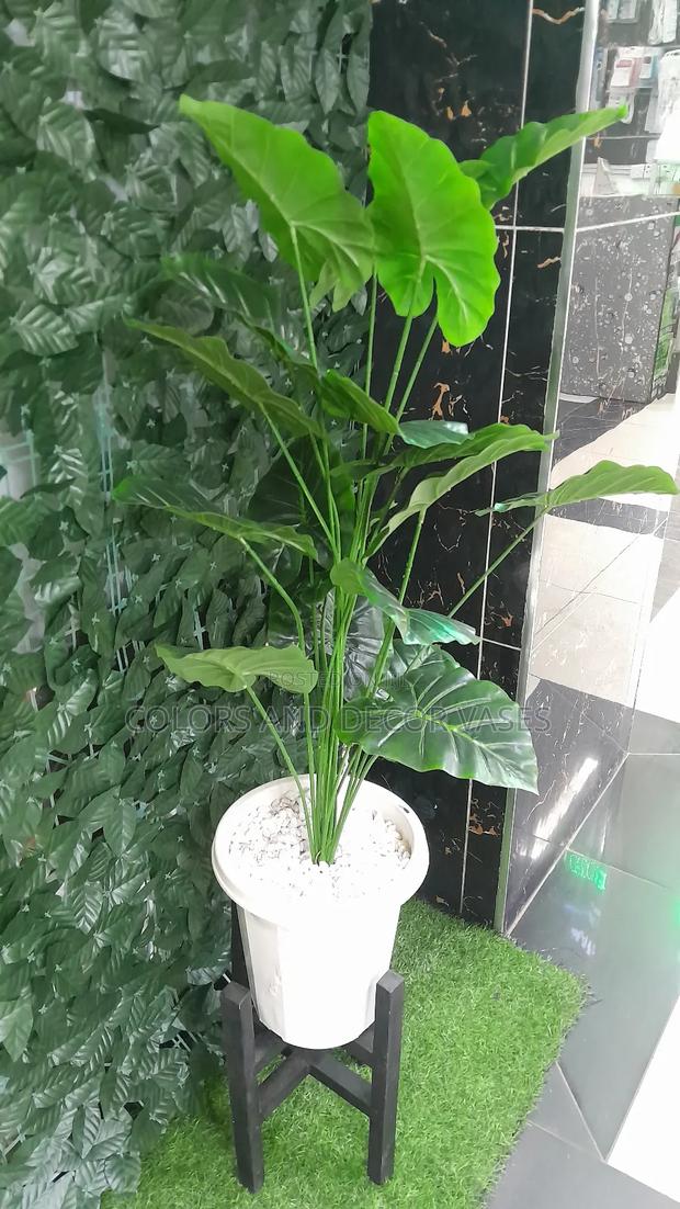 1.3m Green Plant, Plastic Vase, Stand Available