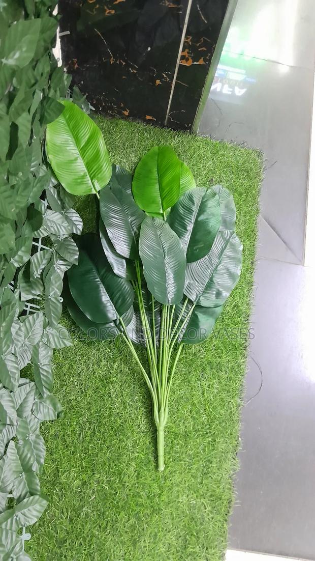 18leaves Banana Plant KSH 75cm - main view