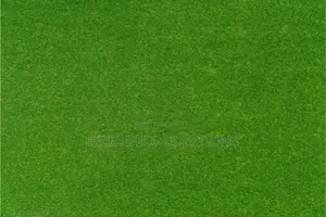 Soft and Comfortable Grass Carpet