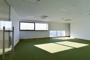 Versatile Green Artificial Grass