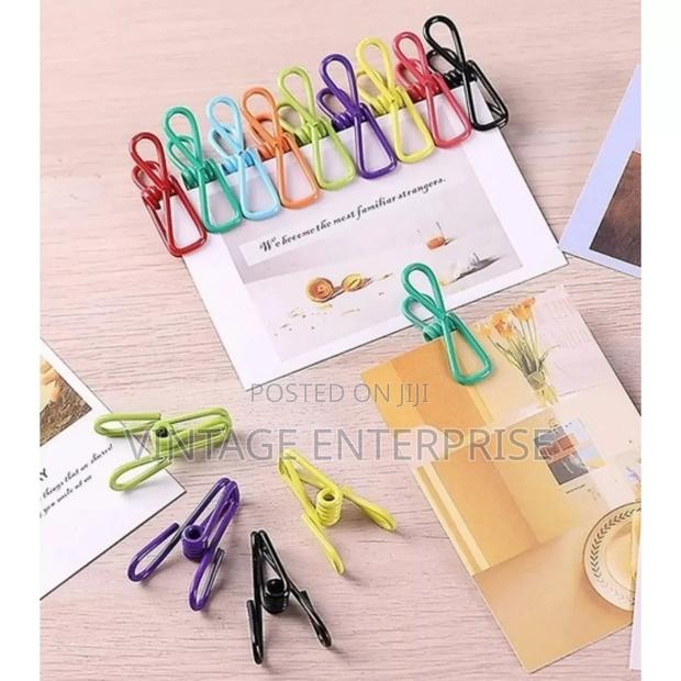 2 Inch Rubber Coated Pegs (10pcs ) - main view