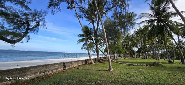 Kikambala,4 Acres Beach Plot on Sale - thumbnail 5