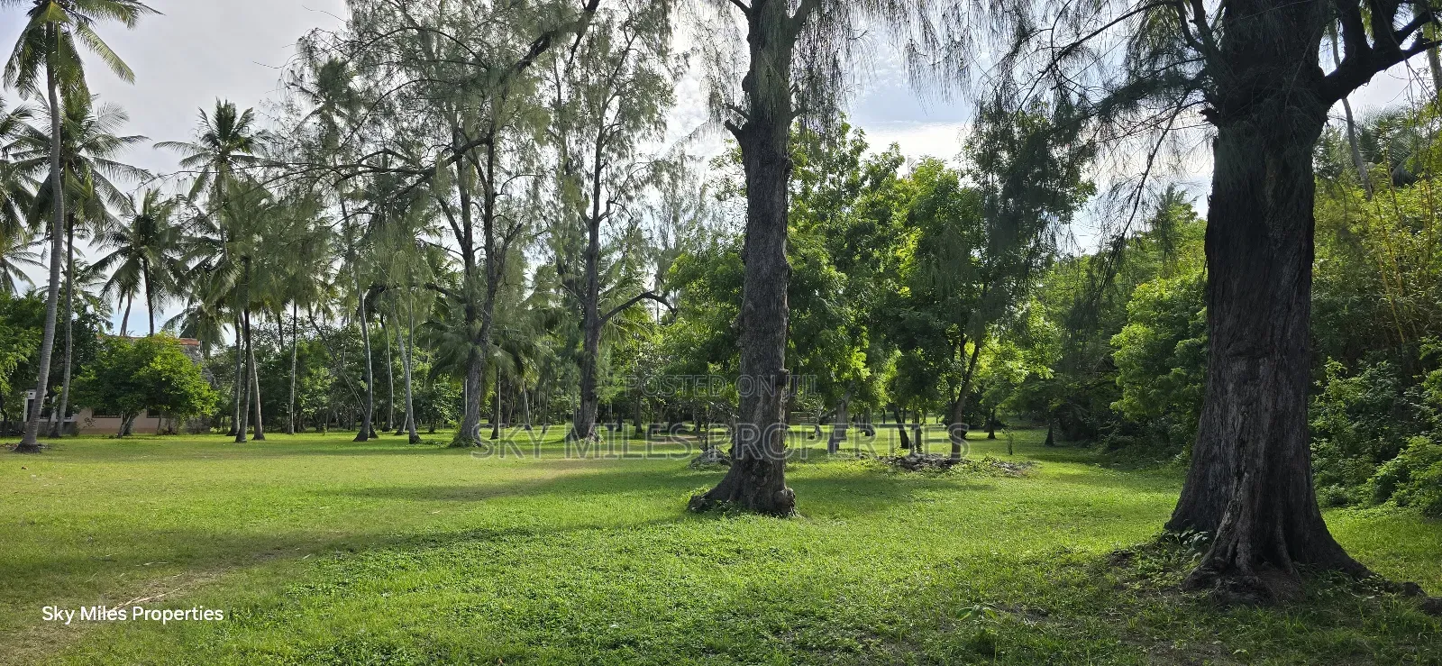 Kikambala,4 Acres Beach Plot on Sale