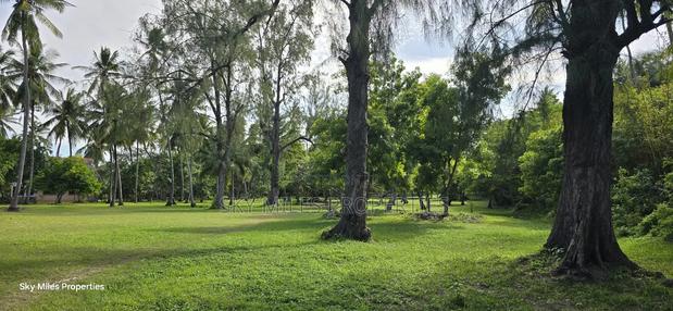 Kikambala,4 Acres Beach Plot on Sale - thumbnail 14