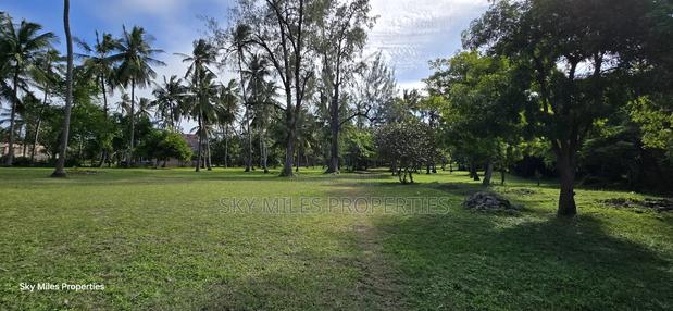 Kikambala,4 Acres Beach Plot on Sale - thumbnail 16