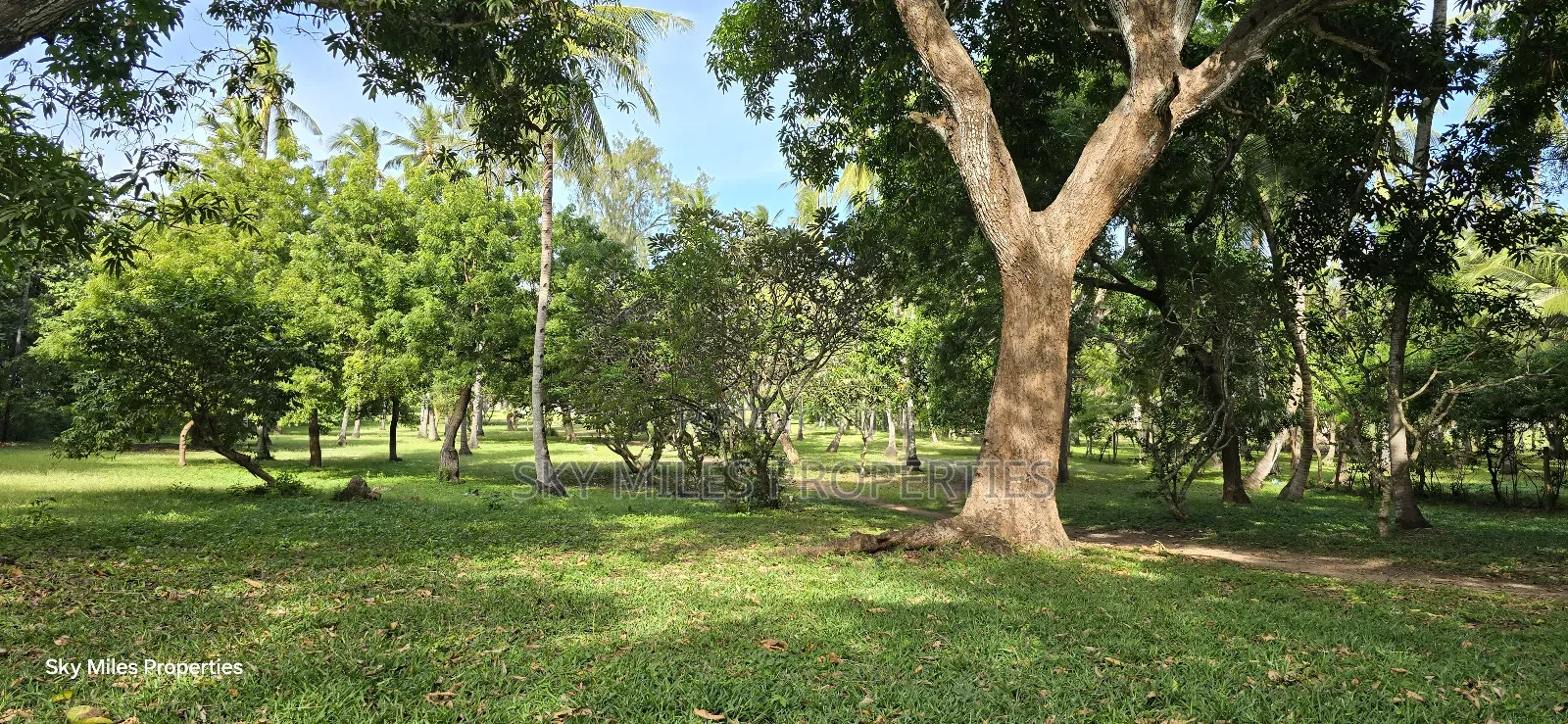 Kikambala,4 Acres Beach Plot on Sale