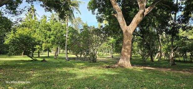 Kikambala,4 Acres Beach Plot on Sale - thumbnail 18