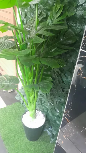 1.6m Plant Vase With Decorative White Stones