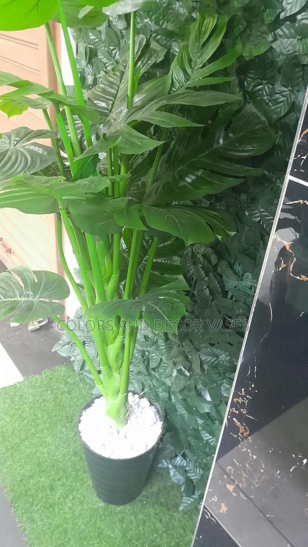 1.6m Plant Vase With Decorative White Stones