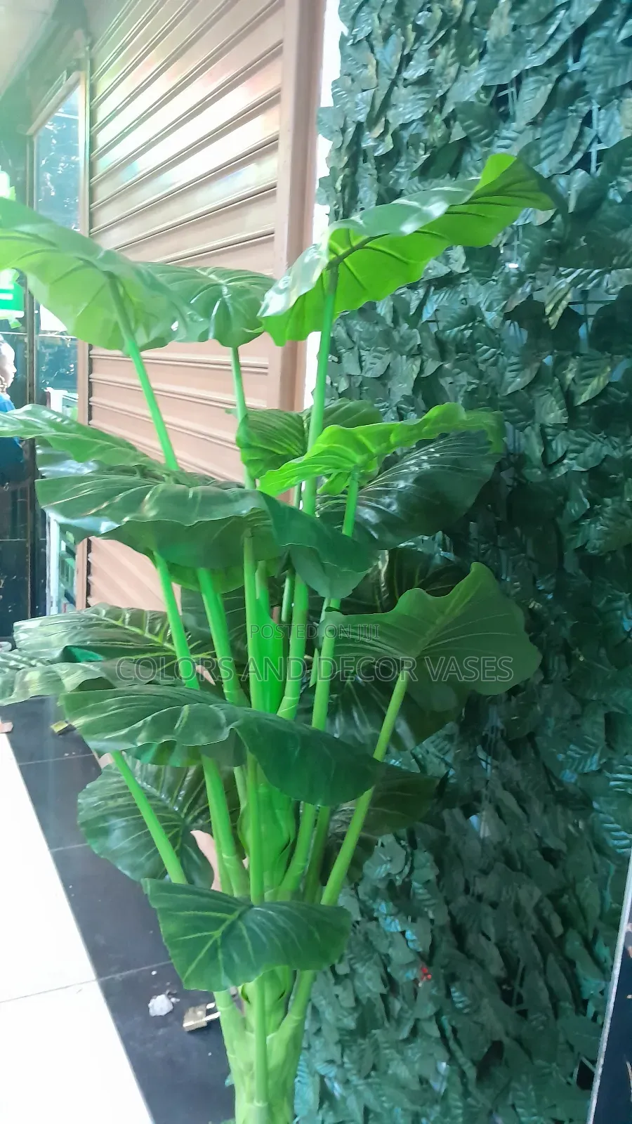 Decor Trees Big Available