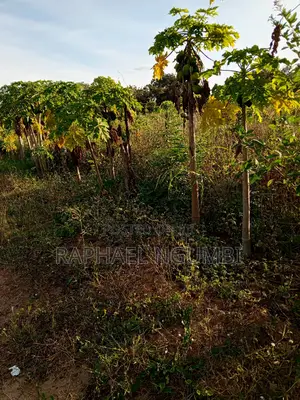 Two (2) 50*100 Plots at Wote Town