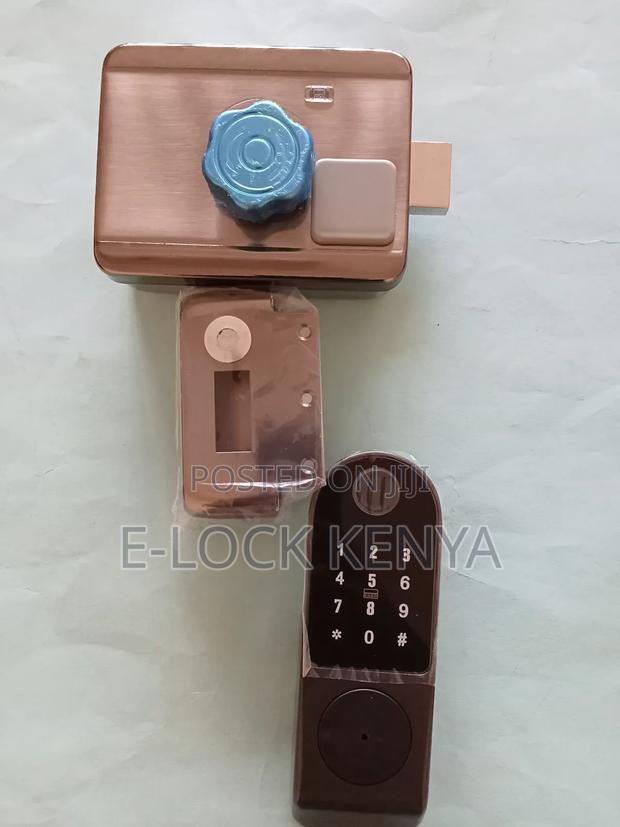 Biometric Excellence for Security