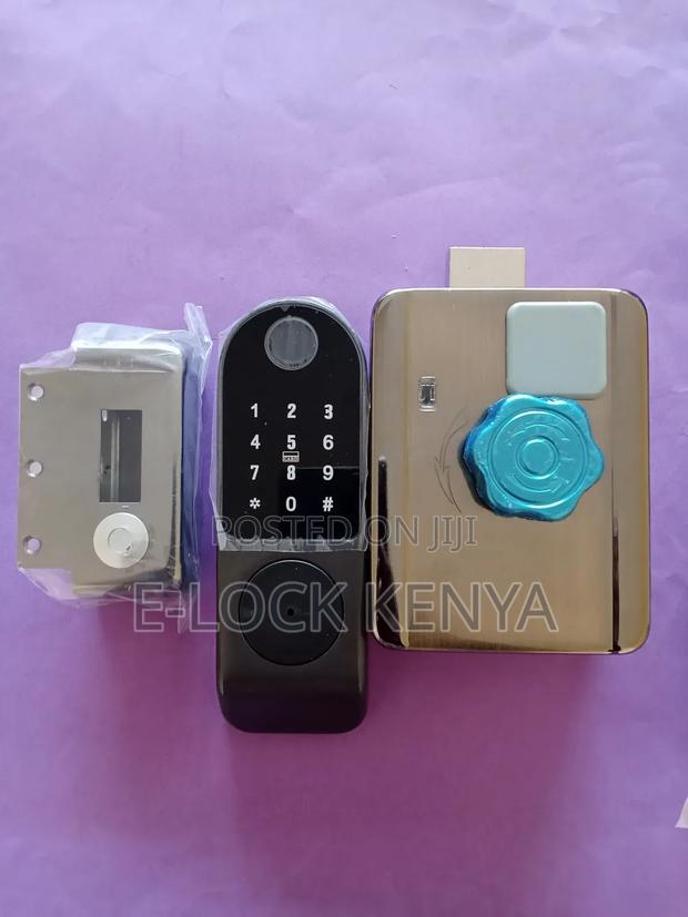 Biometric Mastery Smart Locks for Door Protection