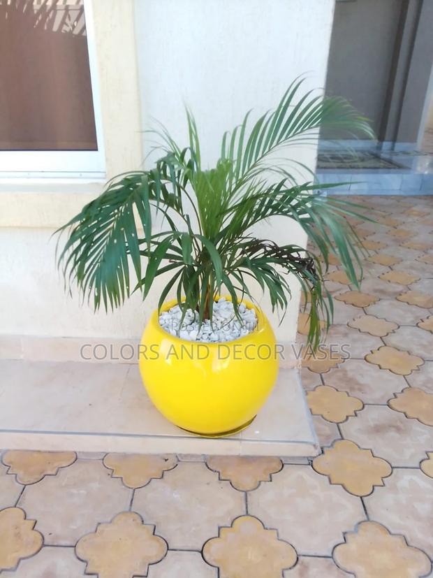 Out Door Decor Plastic Vase Available in White and Plant