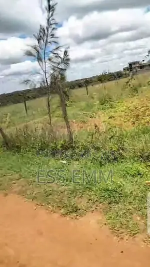 Land In Kamulu For Sale. 160x100 Ft